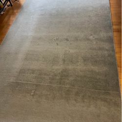 Large Grey Area Rug 