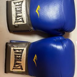 Everlast Boxing Gloves