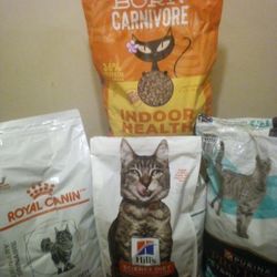 Different Brands Of Quality Cat Food 