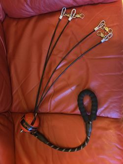 Multi Dog Leash Dog Bawl