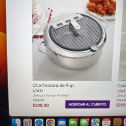 Olla Freidora De 9 Qt Princess House