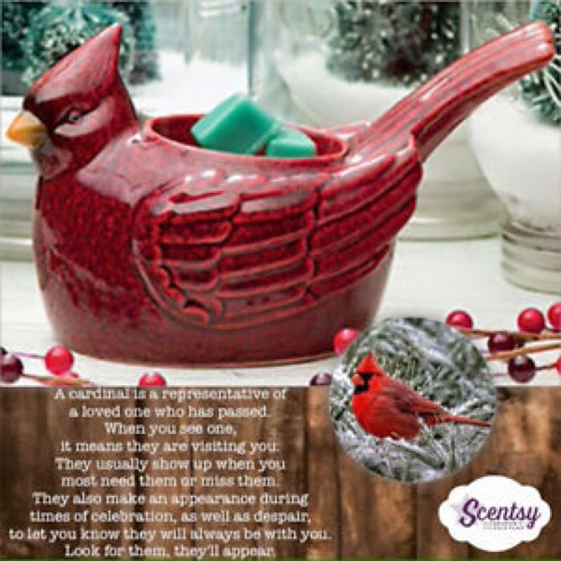 Scentsy Cardinal Warmer Element