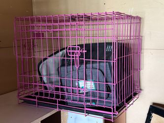 Dog kennel