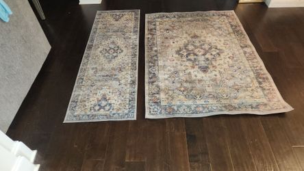 Matching Persian-Style Area Rug Set of 2