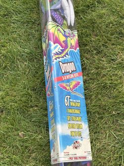 Dragon Kite 3-D Nylon Kite