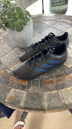 Tenis