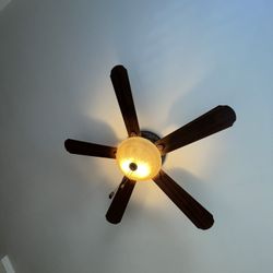 Allen + Roth Ceiling Fan