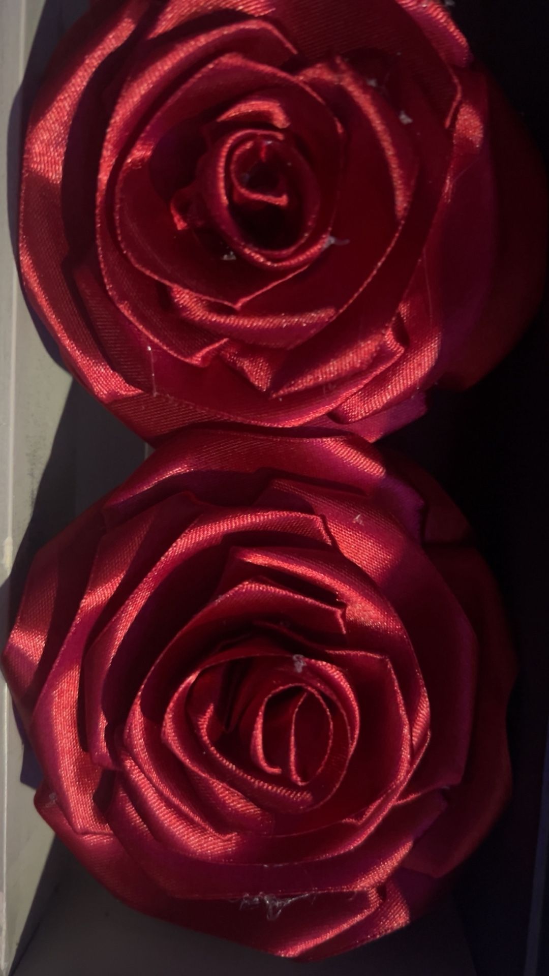 Red Roses 
