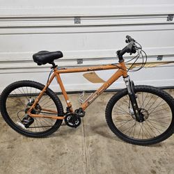 Mountain Bike