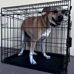 Metal Dog Crate Kennel