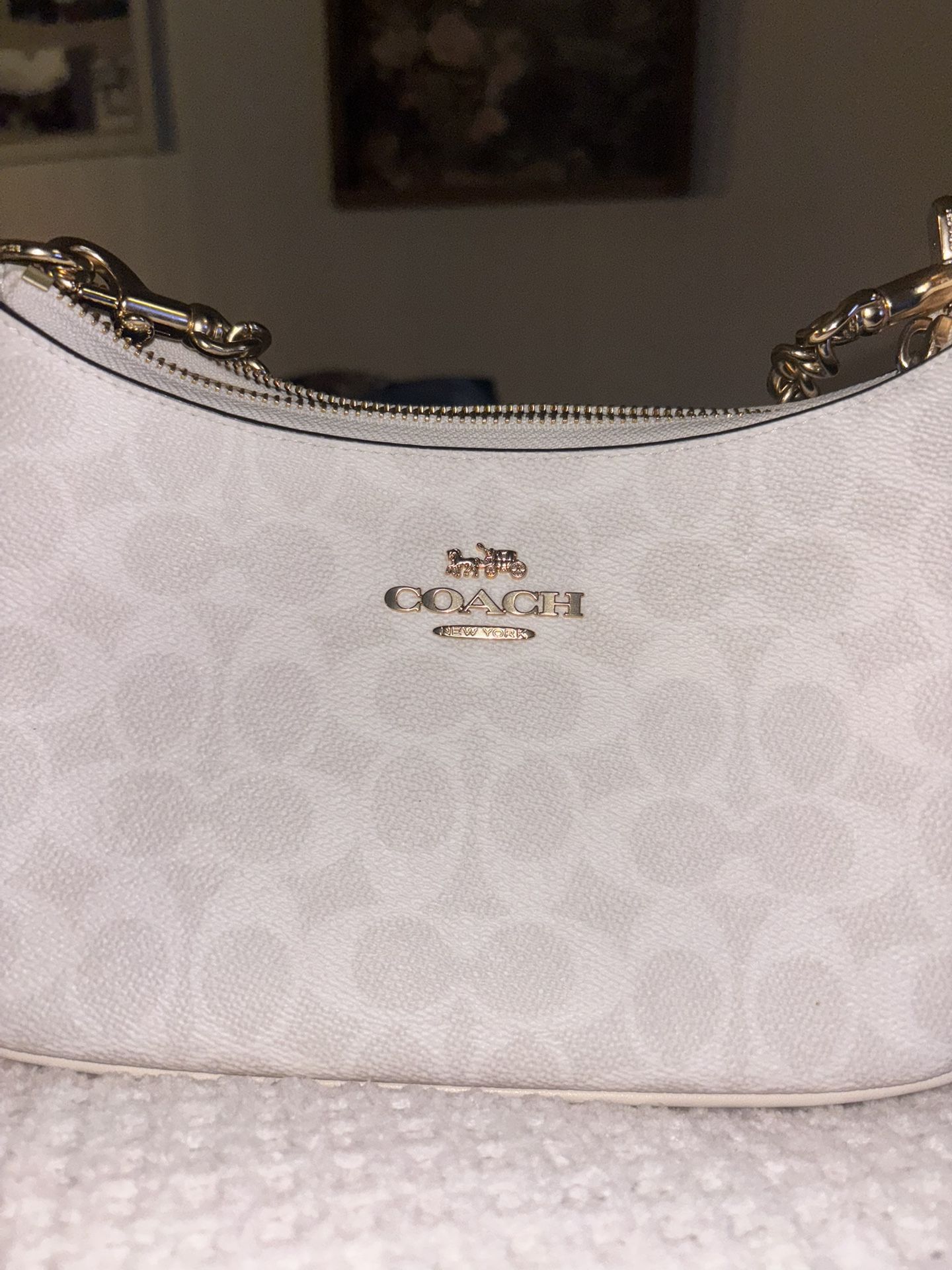 Coach Teri Shoulder Bag In Signature Canvas