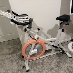  Exercise Bike Indoor Cycling Bike Stationary, Home Gym Cardio Fitness Machine Upright Bike Belt Driven Smooth Workout Bicycle with Oversize Sof