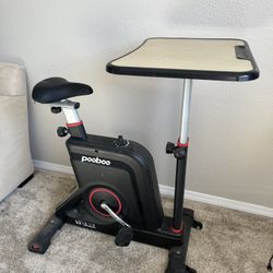 Exercise Bike Desk