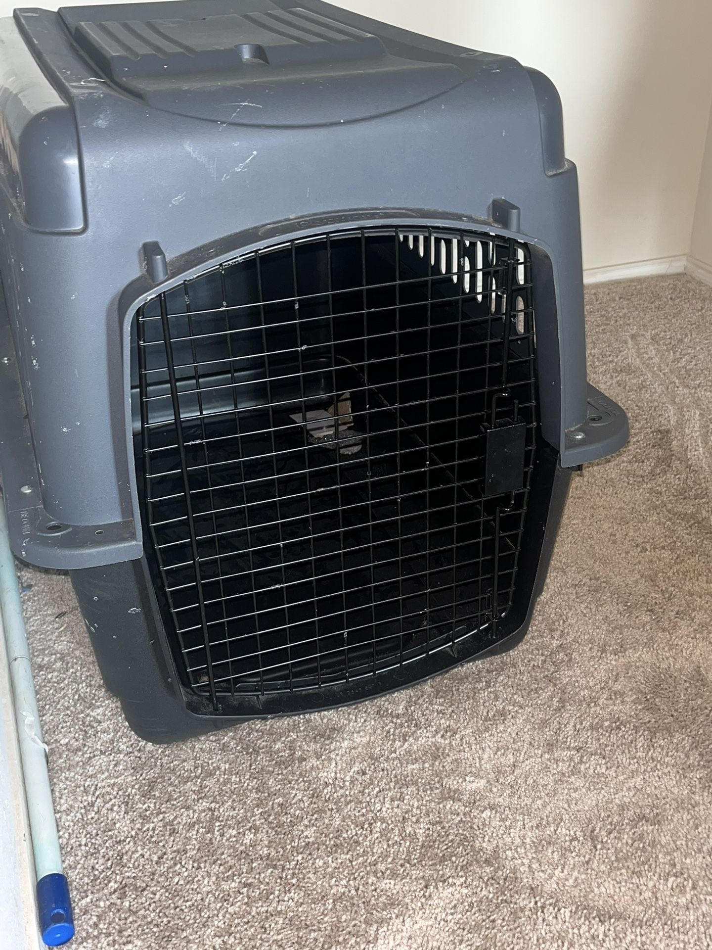 Large Dog Kennel