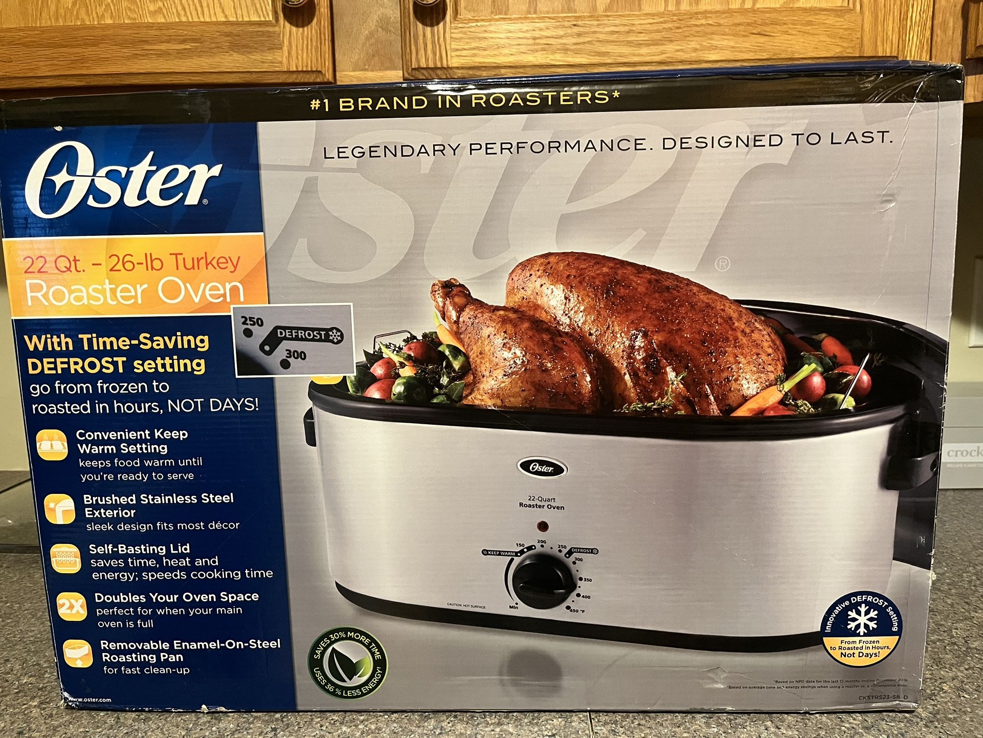 Oster Stainless Steel Roaster Oven