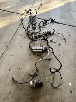 LS1 T56 Wiring Harness