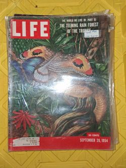 LIFE Magazine September 20, 1954