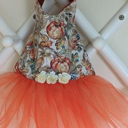 Handmade Pumpkin With Orange Tulle Skirt Dog Dress 