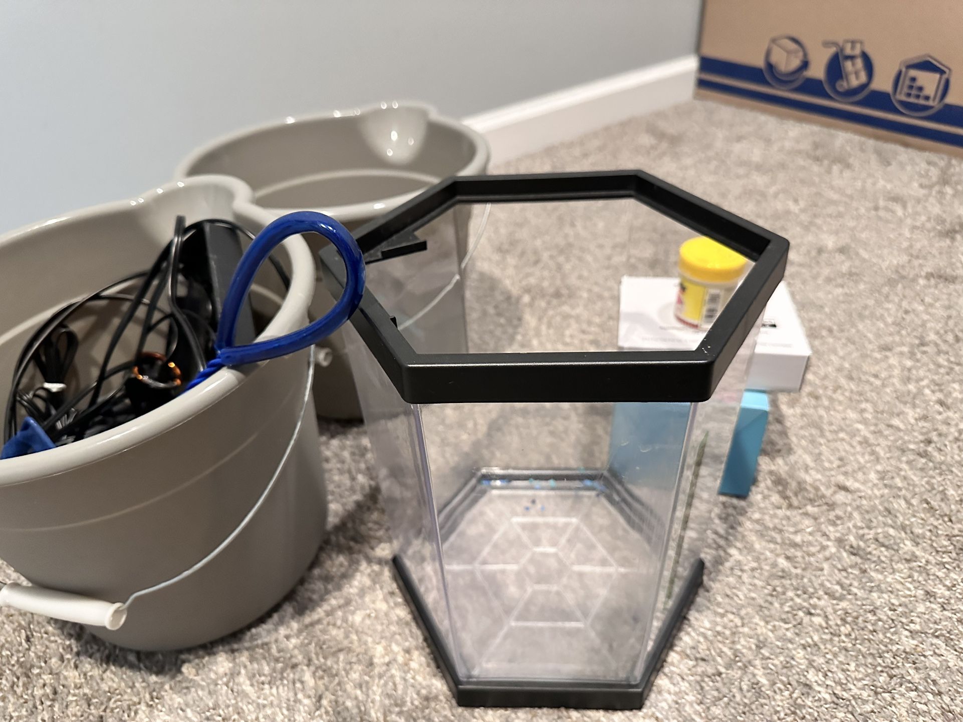 Top Fin 2 Gallon Tank