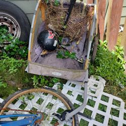 Two Male Bikes 15.00 Each And Bike Trailer For 50.00