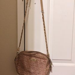 DKNY Purse