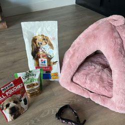 Small Dog Bed, Food, & Collar