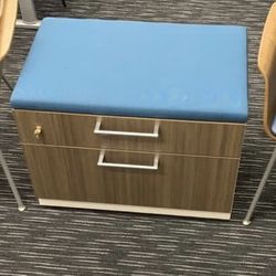 Steelcase Lateral File With Cushion 