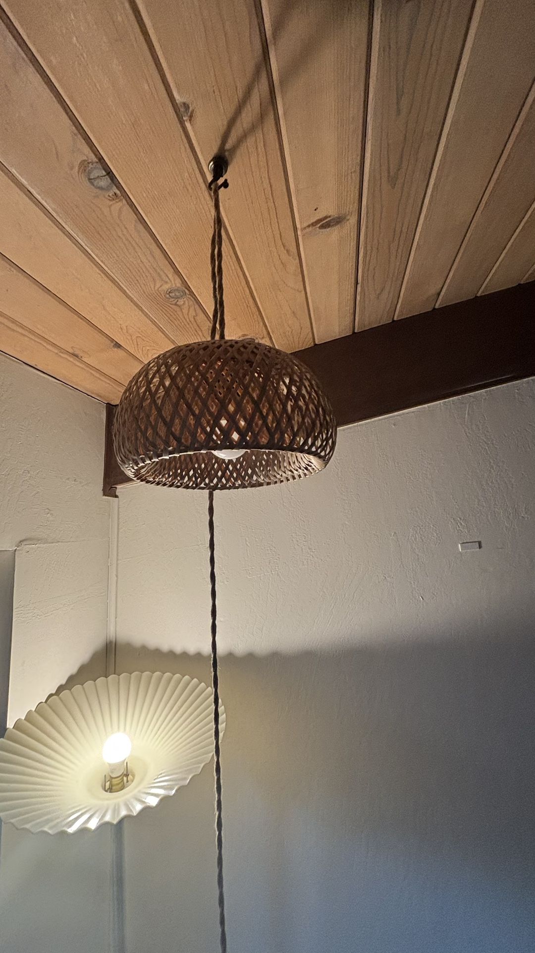 Hanging Light Fixtures (x 2)