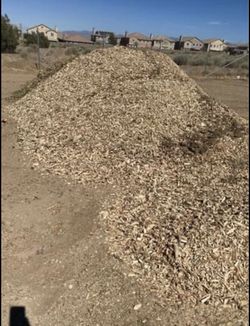 Clean Wood Chips