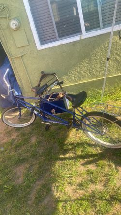 Two seater bike 200 peach bike 70 blue bike 70