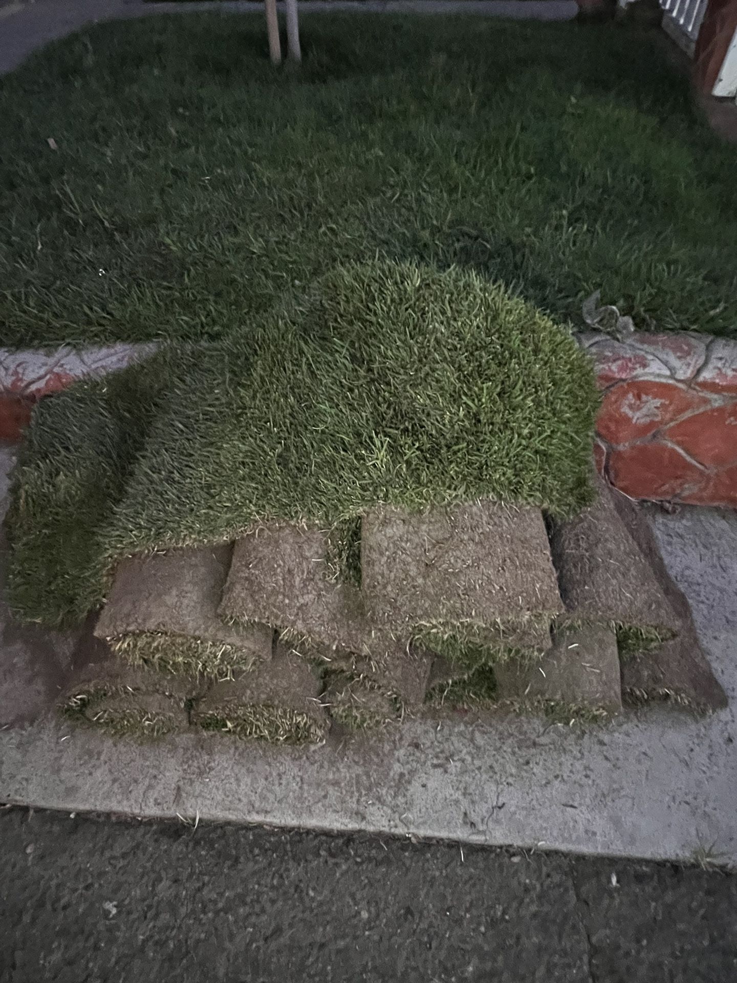 🌱 Fresh Fescue Sod – 80 Sq Ft – Must Go Today! 🌱