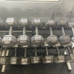 Dumbbells 500lbs for $500 OBO