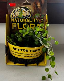 Zoo Med Reptile Terrarium Plant Tank Decor Naturalistic Flora Button Fern