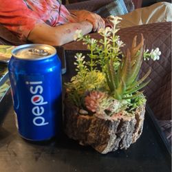 Artificial Succulent Plant 