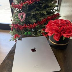 New Year Sale! iPad Pro 12.9” 6th Gen WiFi 256GB