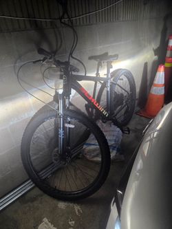 Schwinn