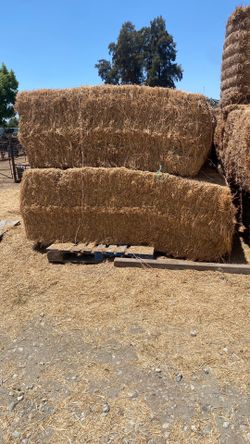 Bermuda / water grass mix cow hay