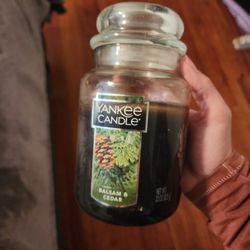 Yankee Candle Balsam & Cedar 22 oz