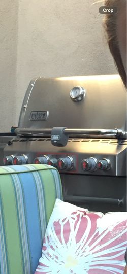 Weber Gas BBQ Grill