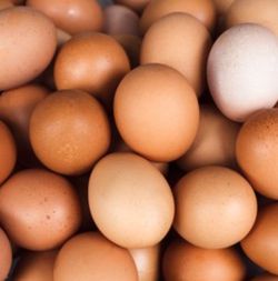Organic farm fresh chicken eggs