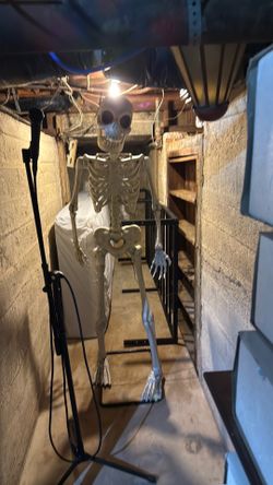 Halloween skeleton life-size
