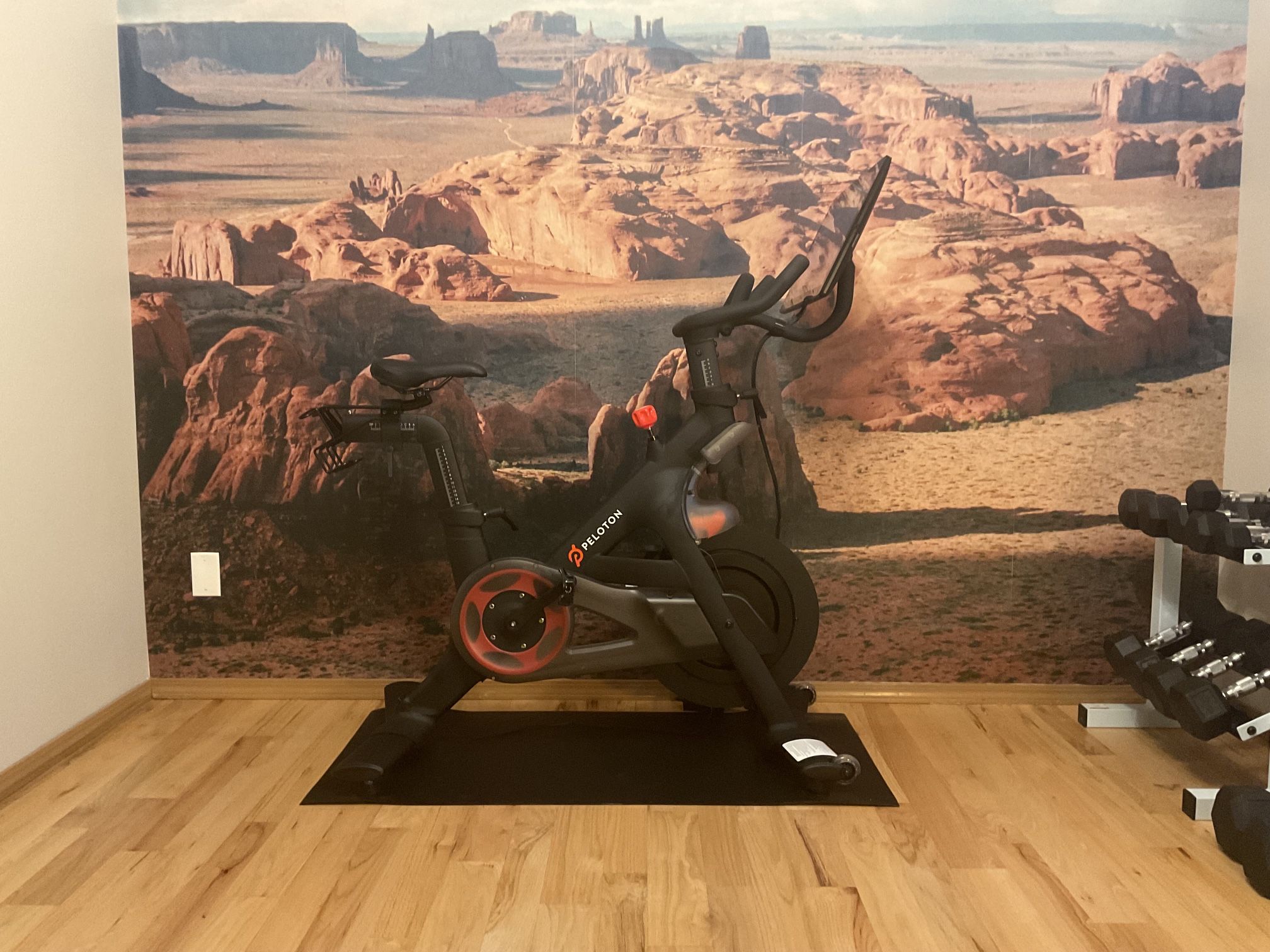 Peloton Bike – Like New • Premium Condition • Ready to Ride