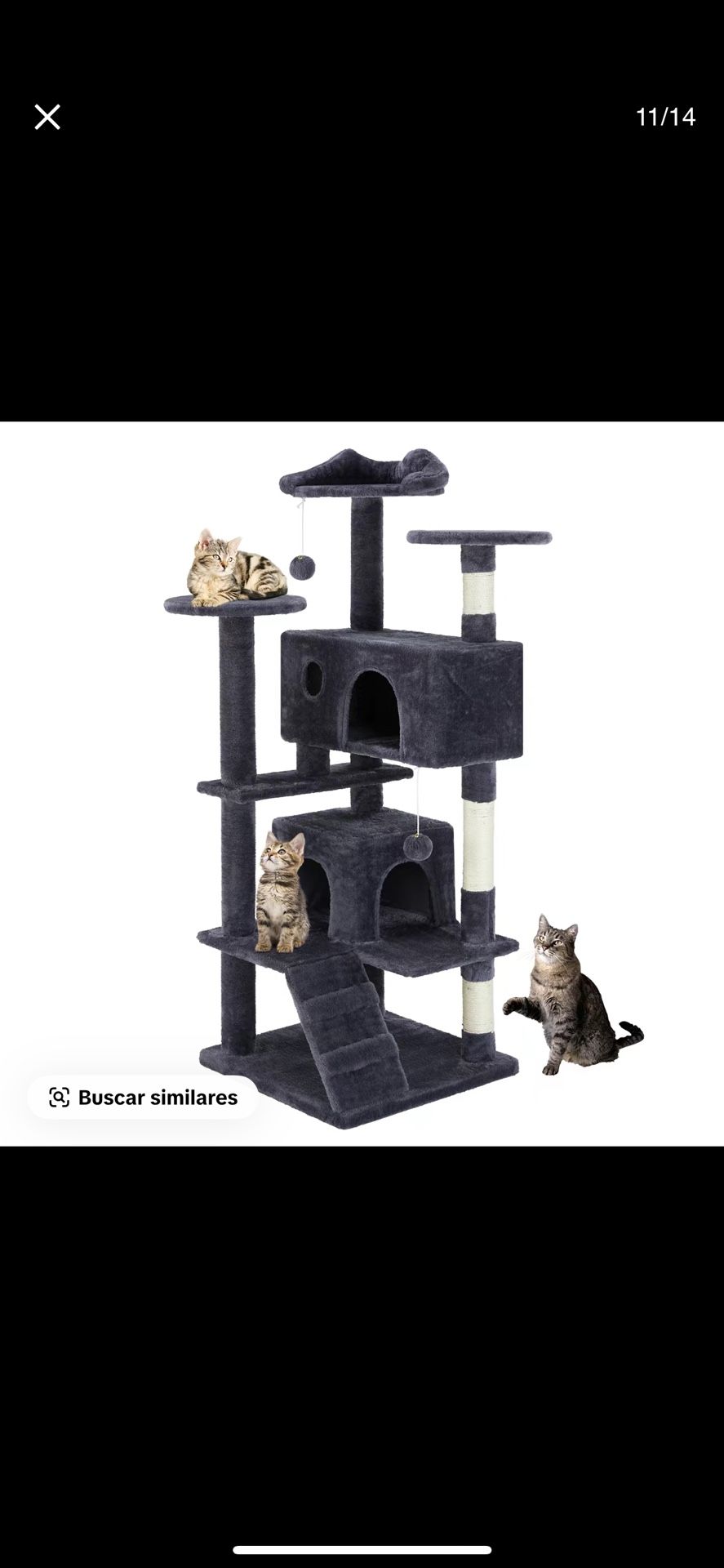 Cat House 