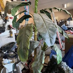 Artificial Tree