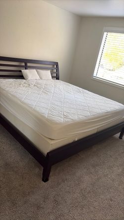 Free King Bedframe and mattress
