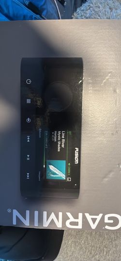 GarminMS-RA210