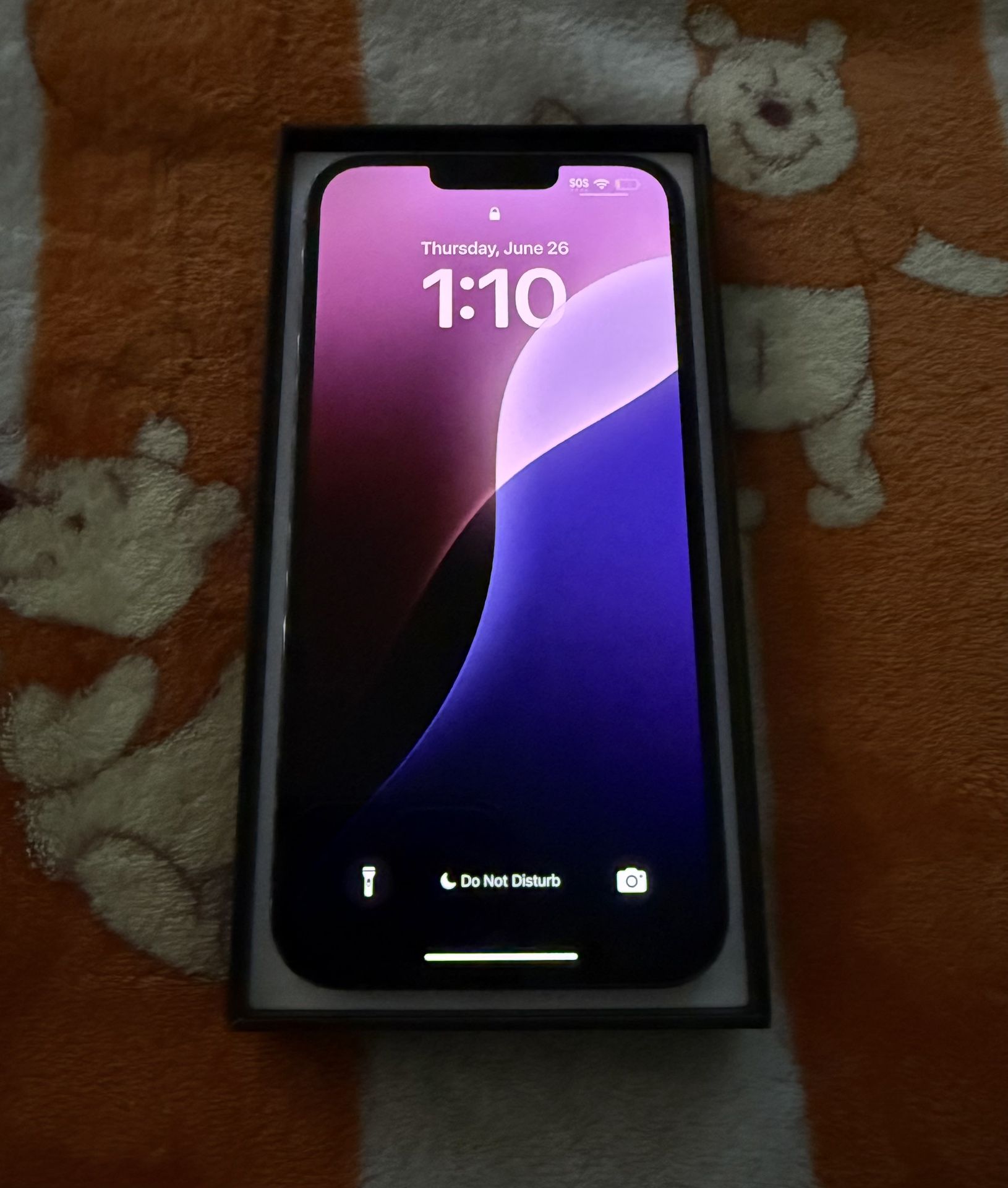 iPhone 13 Pro MAX.