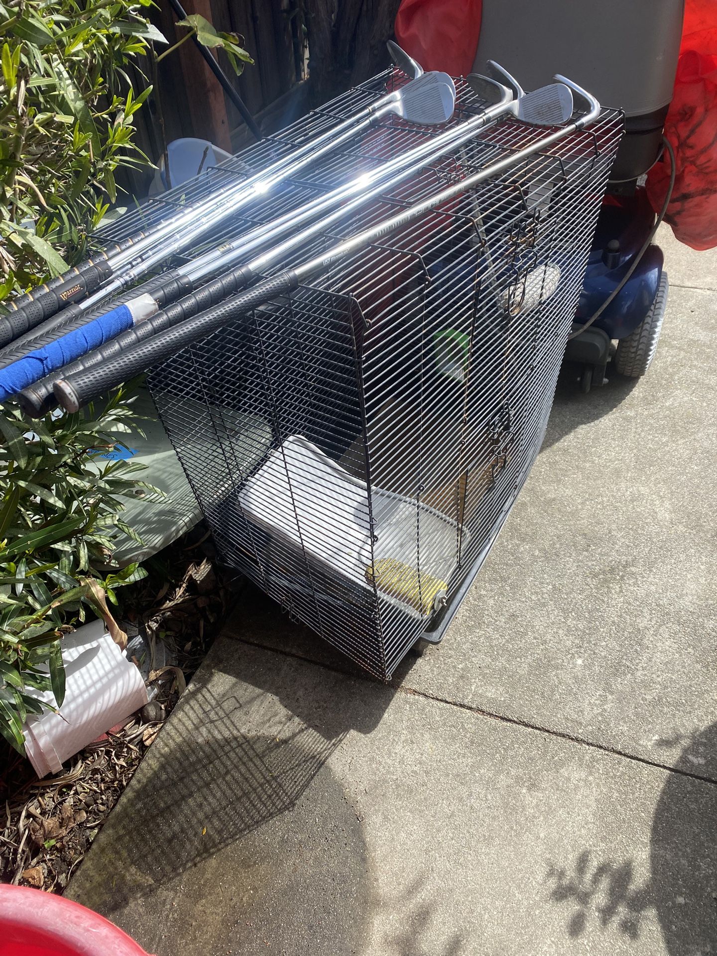 Large Birds Cage