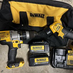 Dewalt Drill & Light *Batteries/Charger included