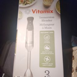 Vitamix Immersion Blender